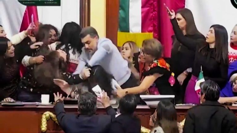 Mexican lawmakers filmed pulling hair and shoving each other during heated Congress floor debate